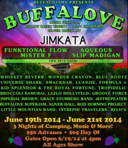 Buffalove Music Festival lineup.